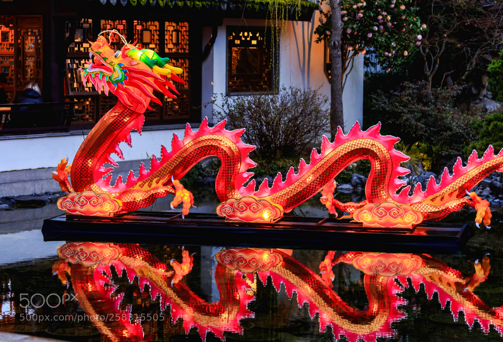 Canon EOS 6D sample photo. The dragon photography