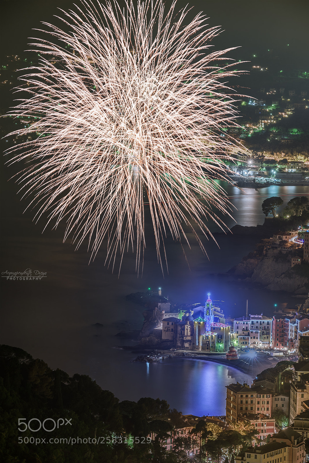 Nikon D750 sample photo. Fuochi camogli photography