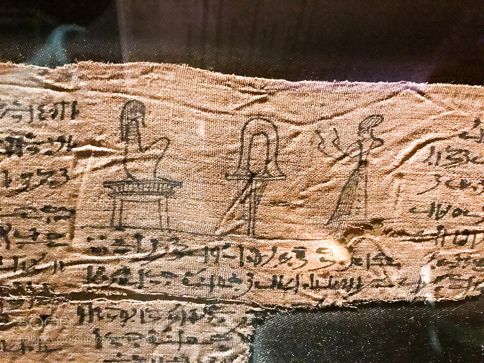 Apple iPhone 7 sample photo. Papyrus hieroglyphs, brooklyn museum photography