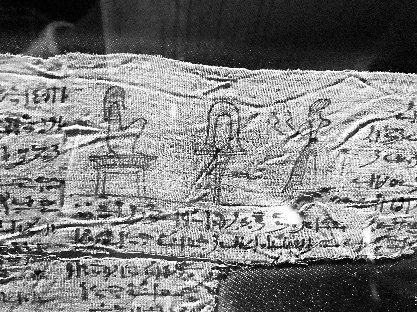 Apple iPhone 7 sample photo. Papyrus hieroglyphs, brooklyn museum photography