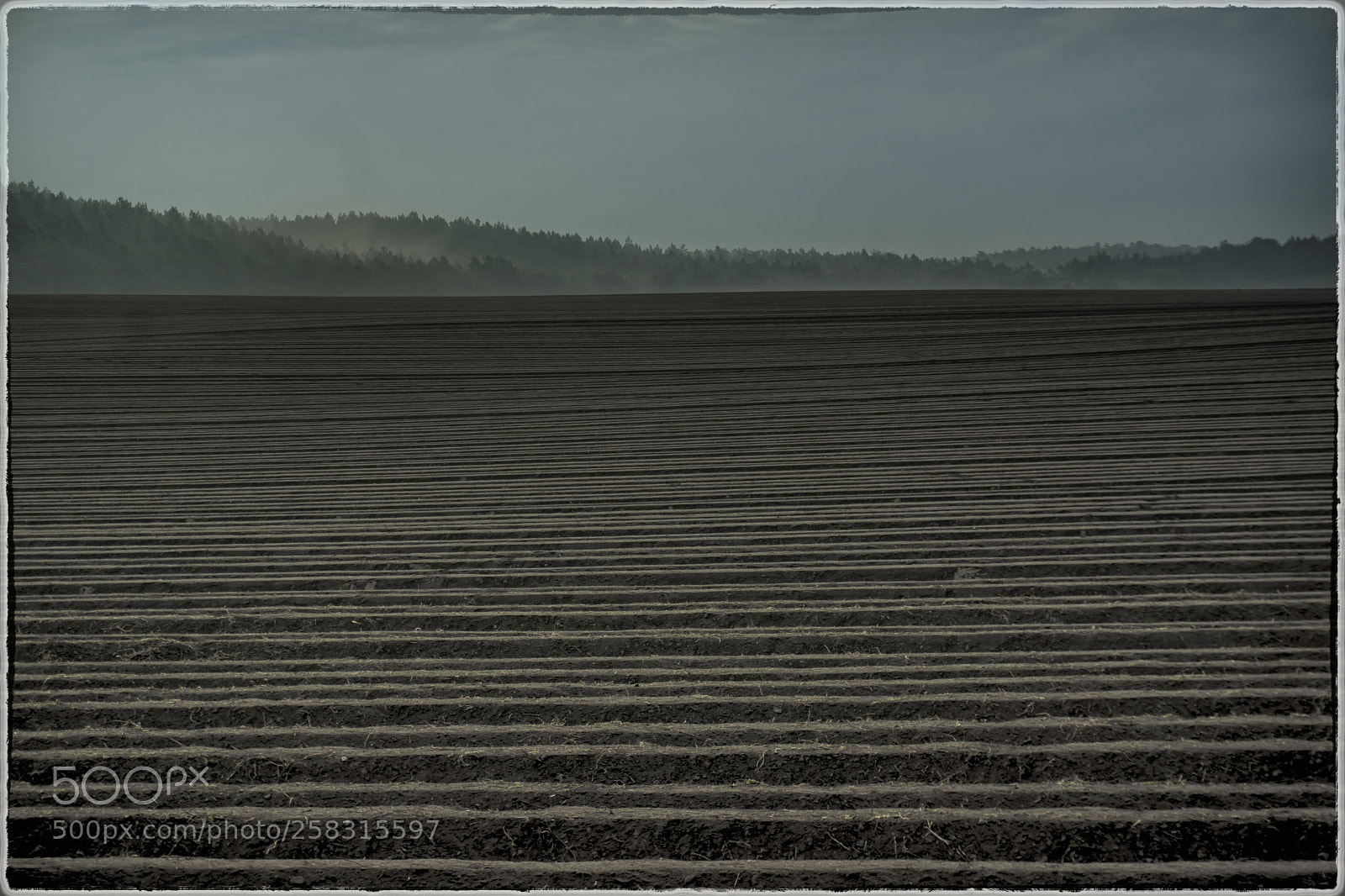 Sony a6000 sample photo. Potato field photography