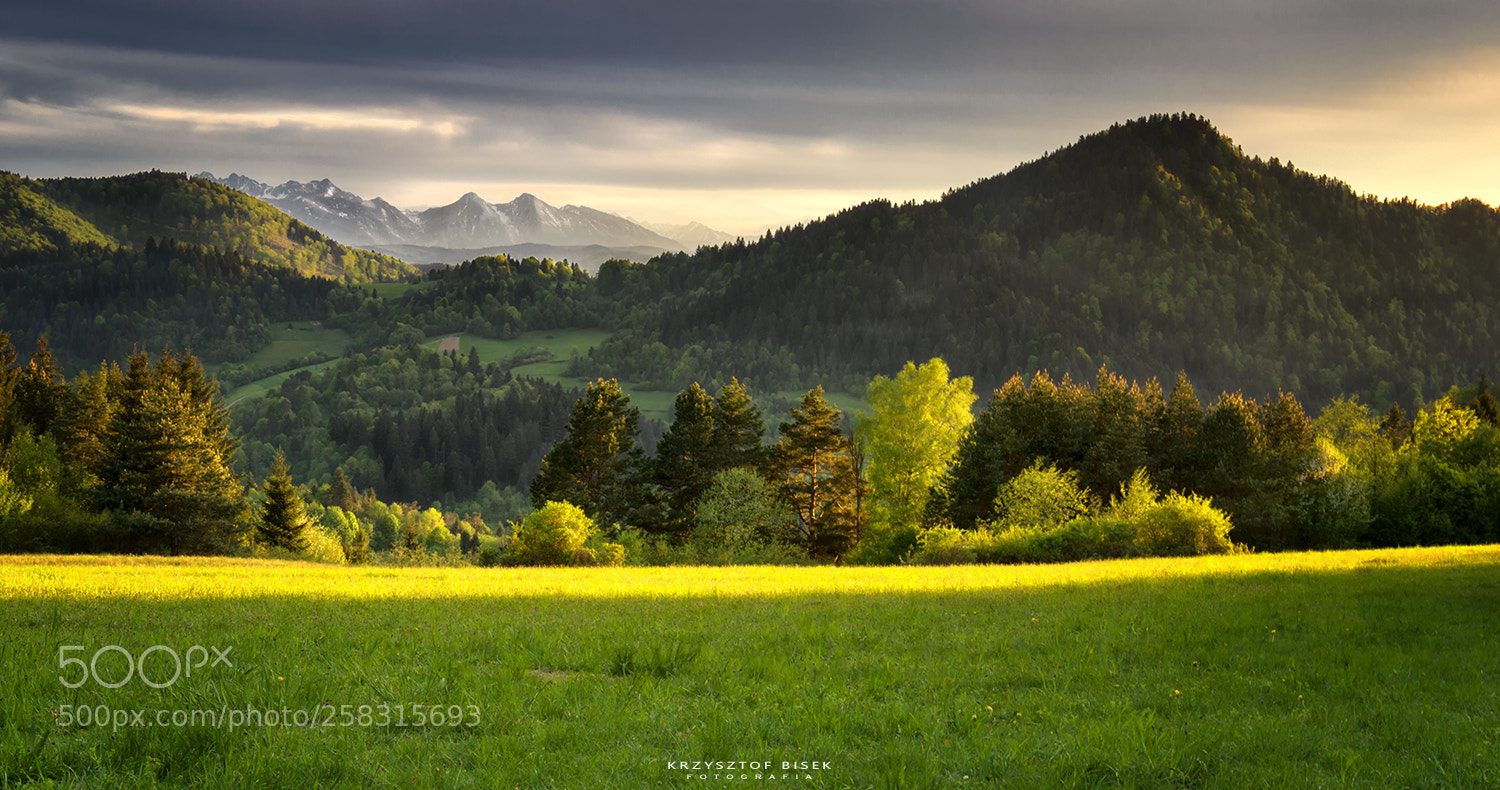 Canon EOS 7D Mark II sample photo. Palenica, pieniny, polska photography
