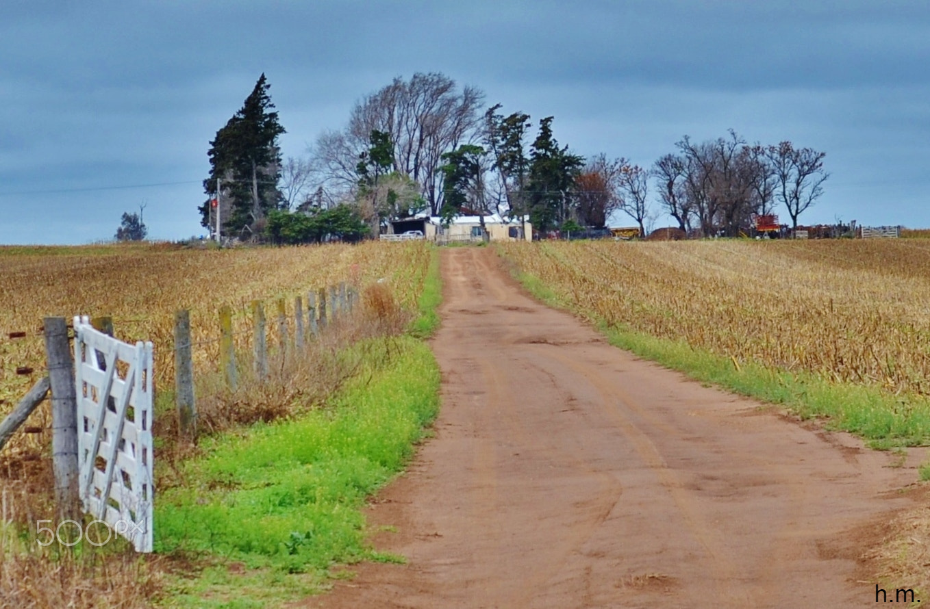 Nikon D3100 sample photo. Cbcde o photography