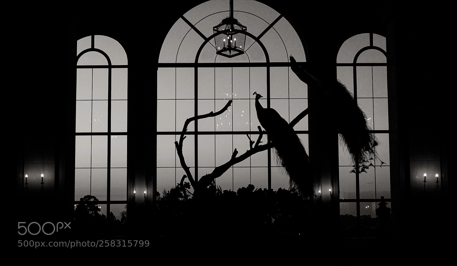 Sony a6000 sample photo. Dark and alone photography