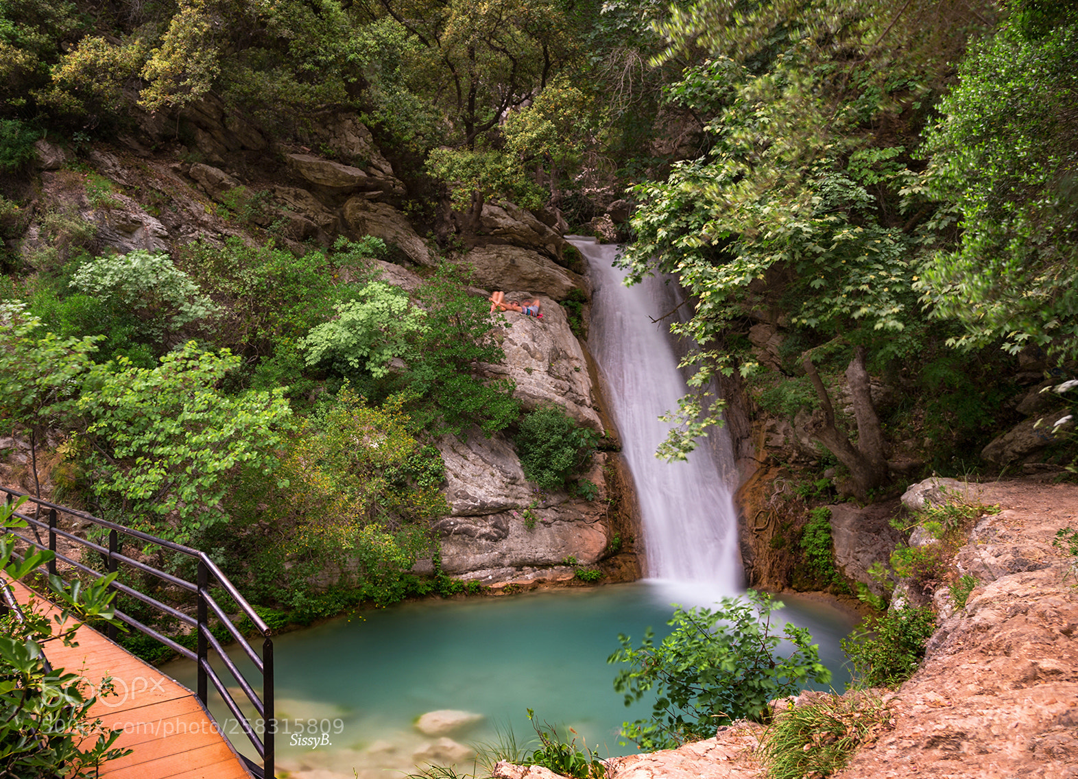 Canon EOS 6D sample photo. Nature photography