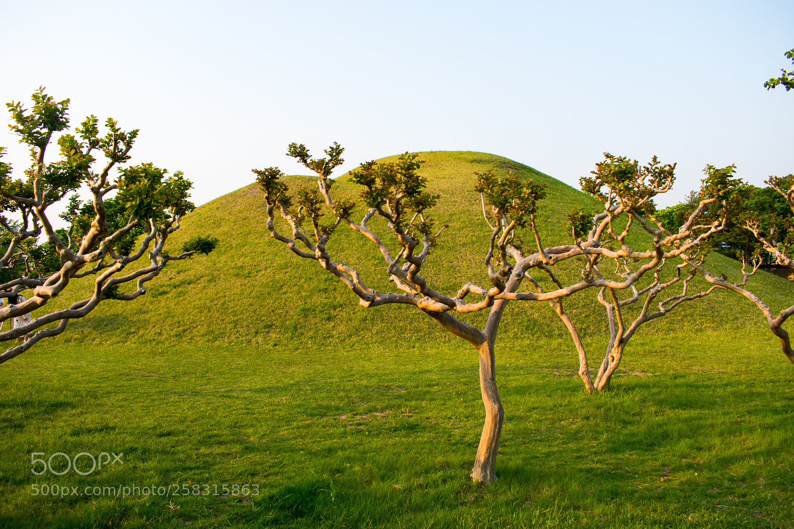 Nikon D3400 sample photo. Gyeongju burial tombs photography