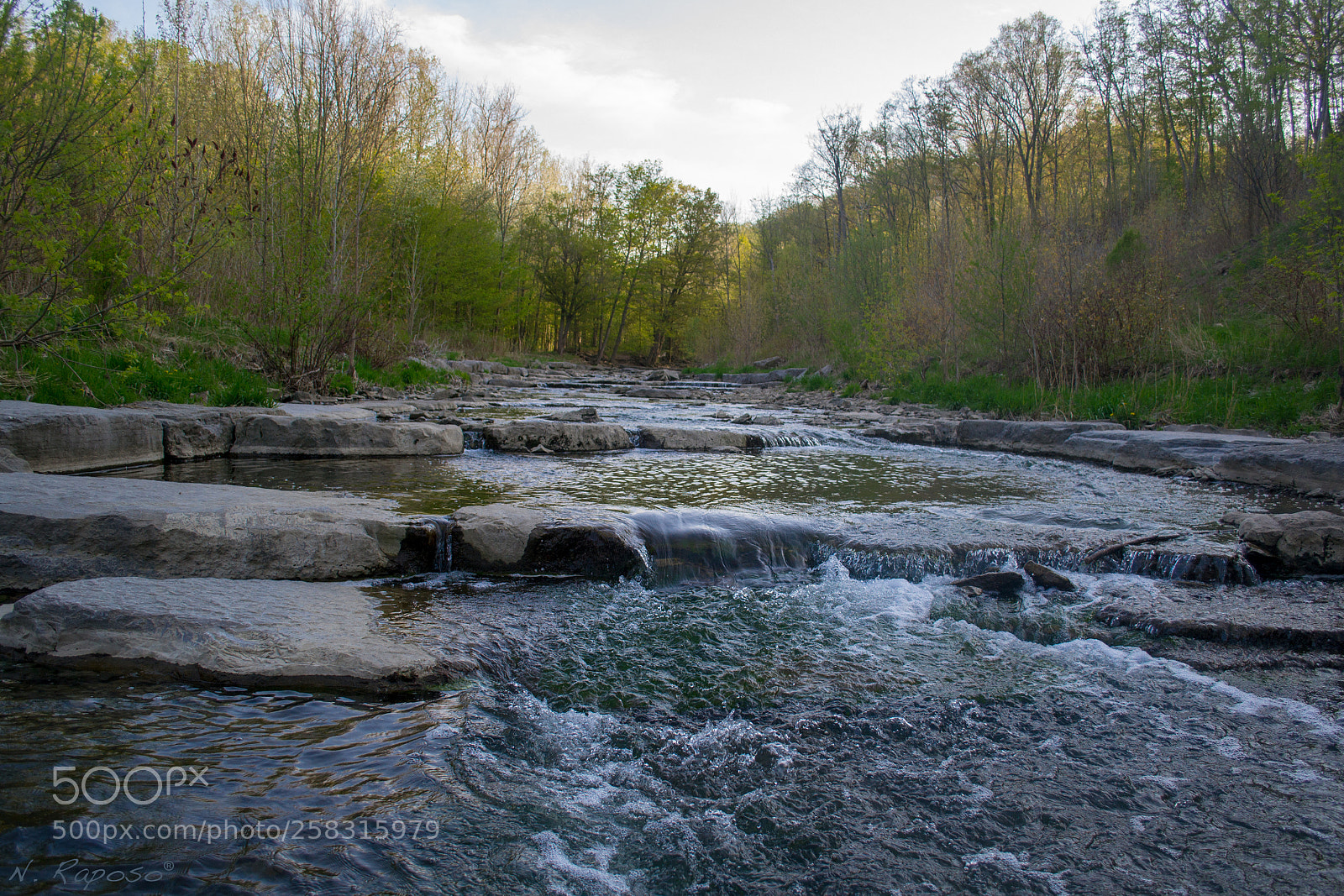 Nikon D3100 sample photo. Motion photography