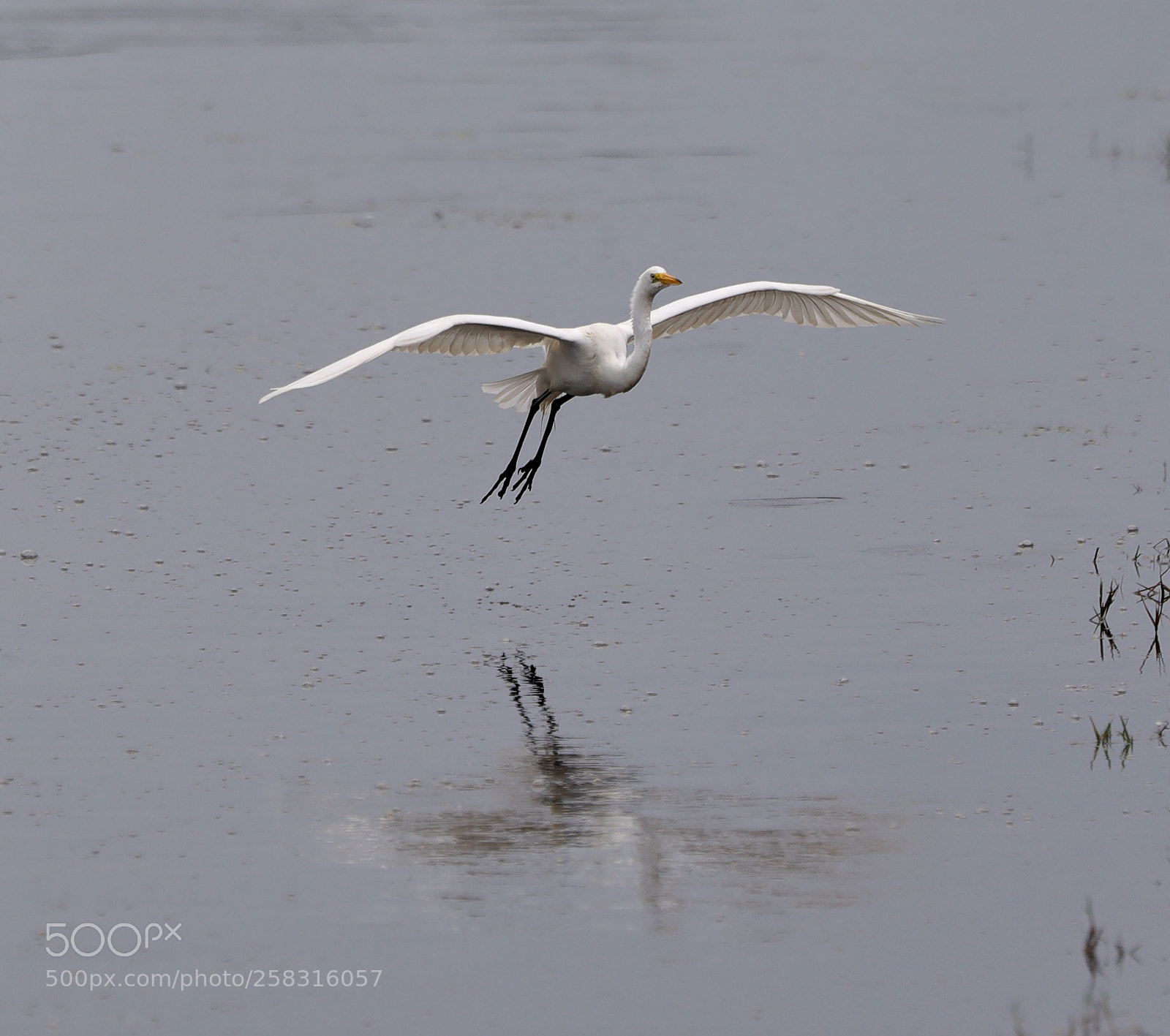 Canon EOS-1D X Mark II sample photo. 05-17-18-0018196.jpg photography