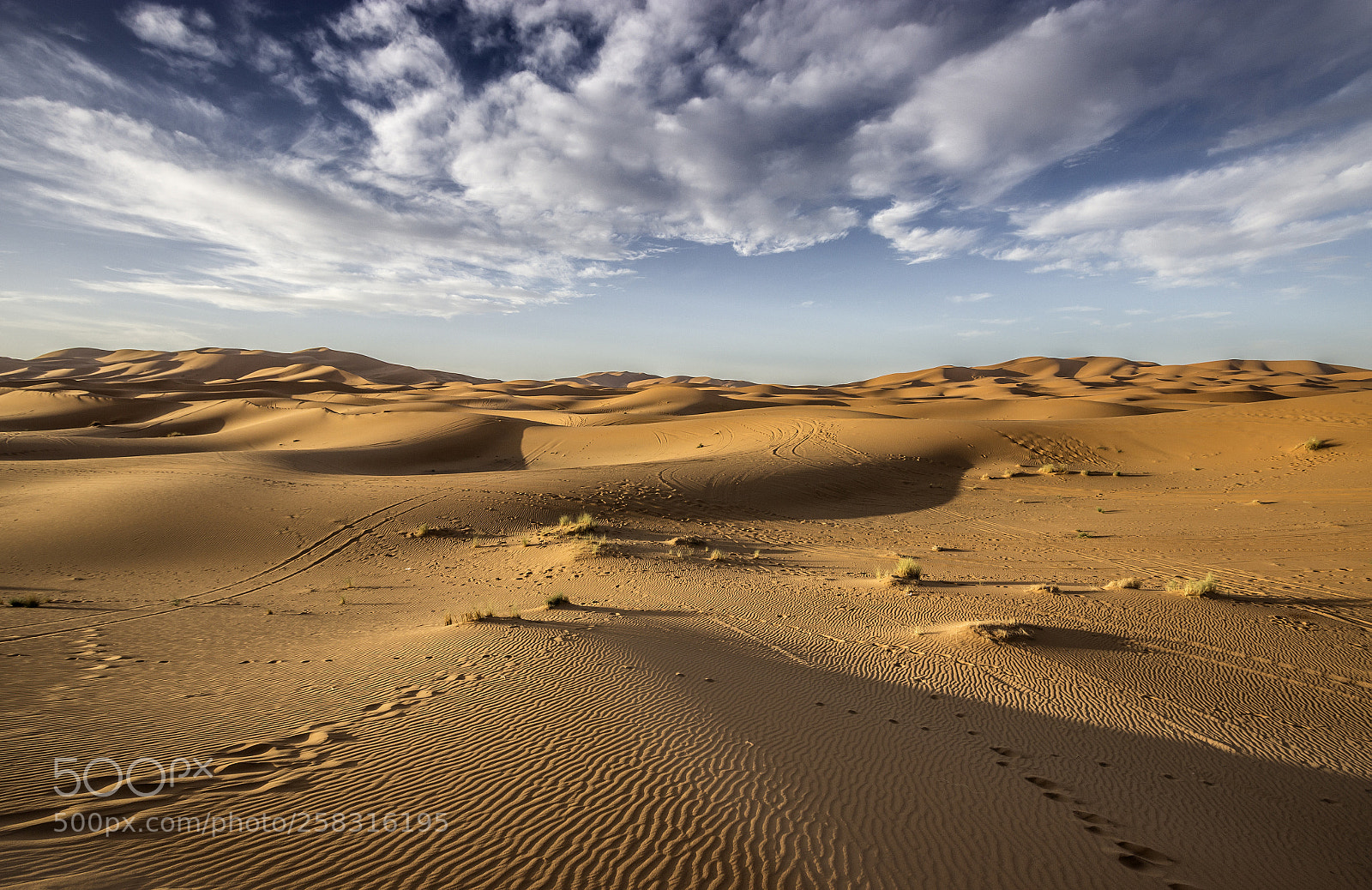 Canon EOS 600D (Rebel EOS T3i / EOS Kiss X5) sample photo. Erg chebbi photography