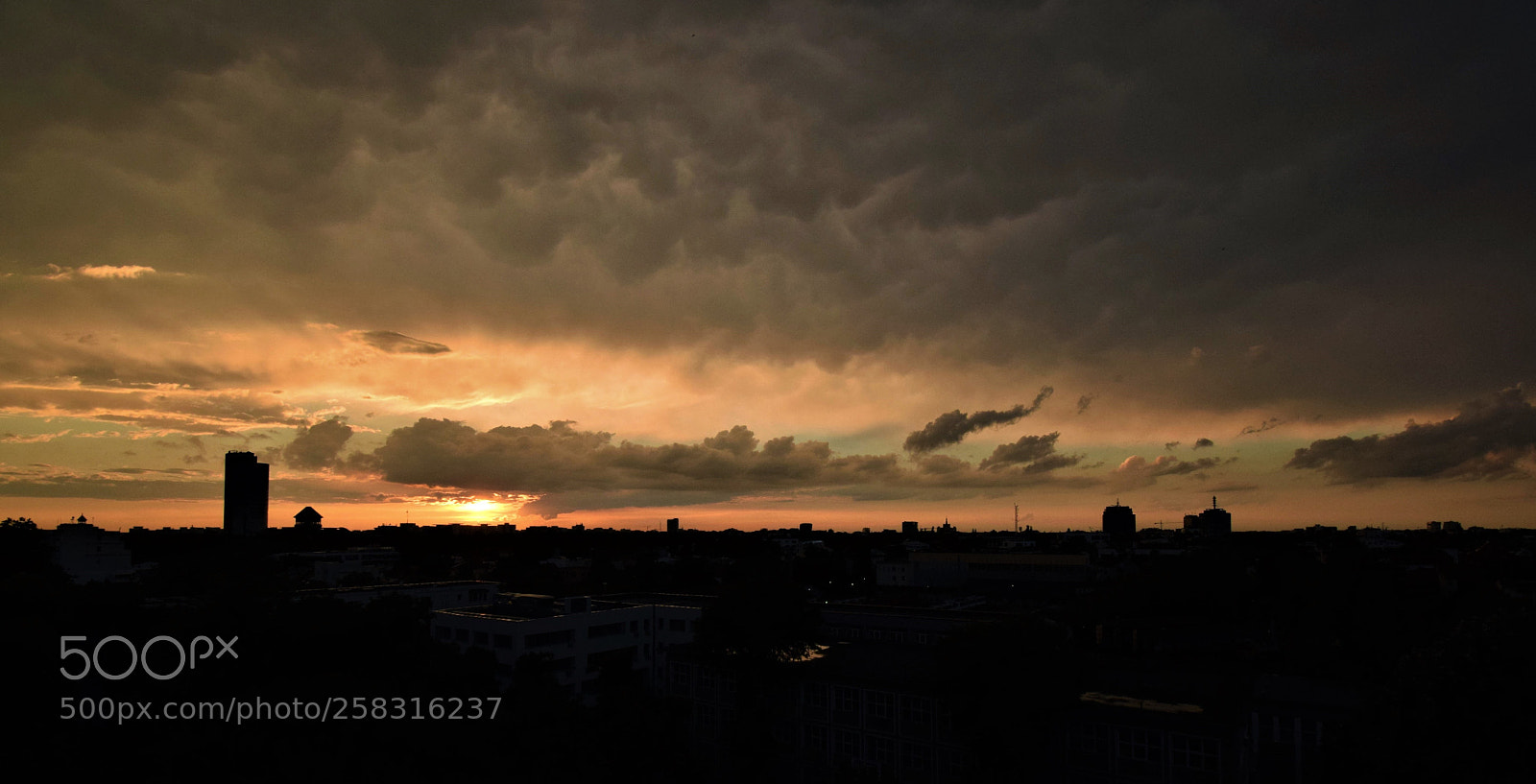 Nikon D5300 sample photo. As wide as it photography