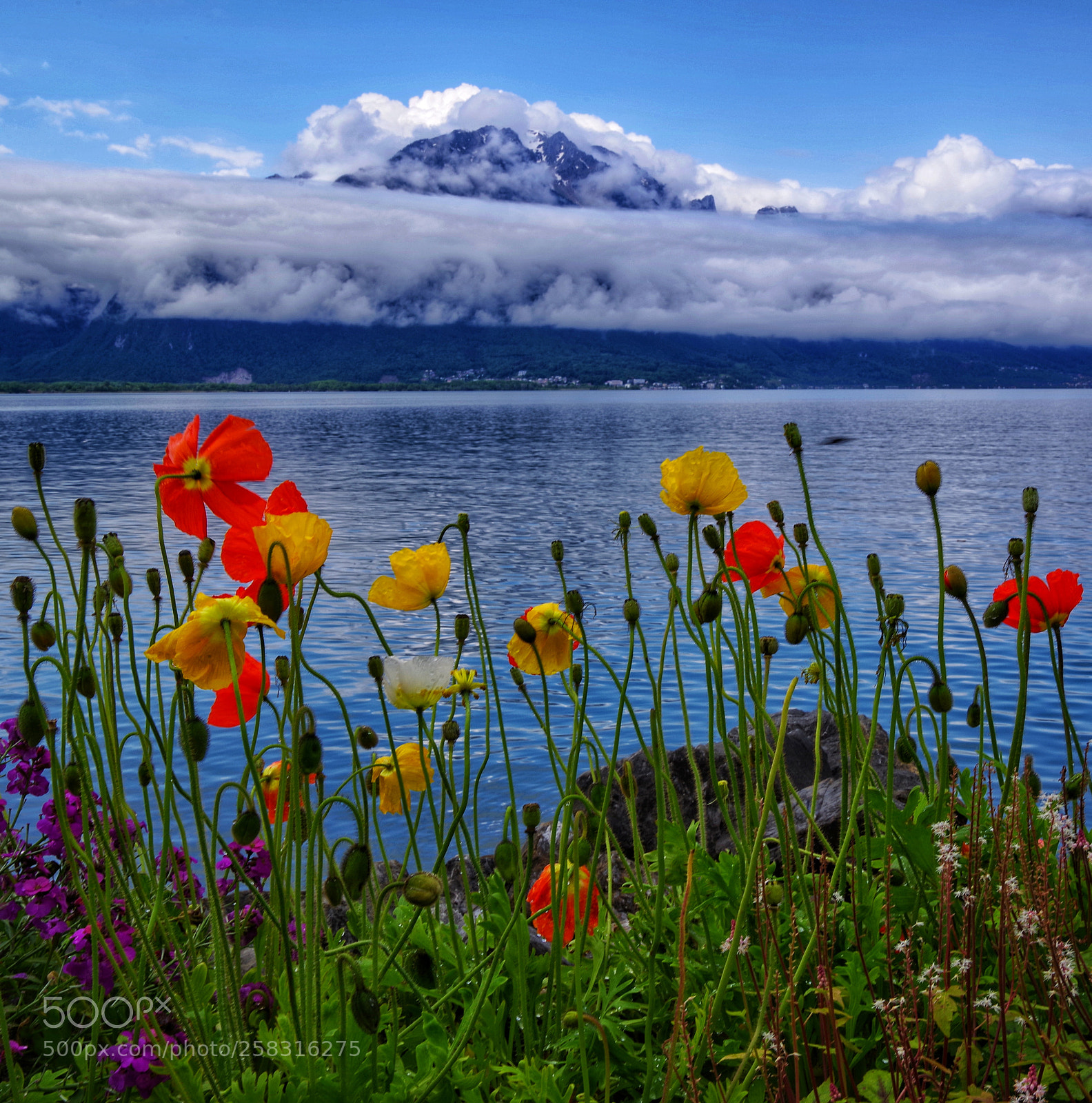 Pentax K-1 sample photo. Montreux photography