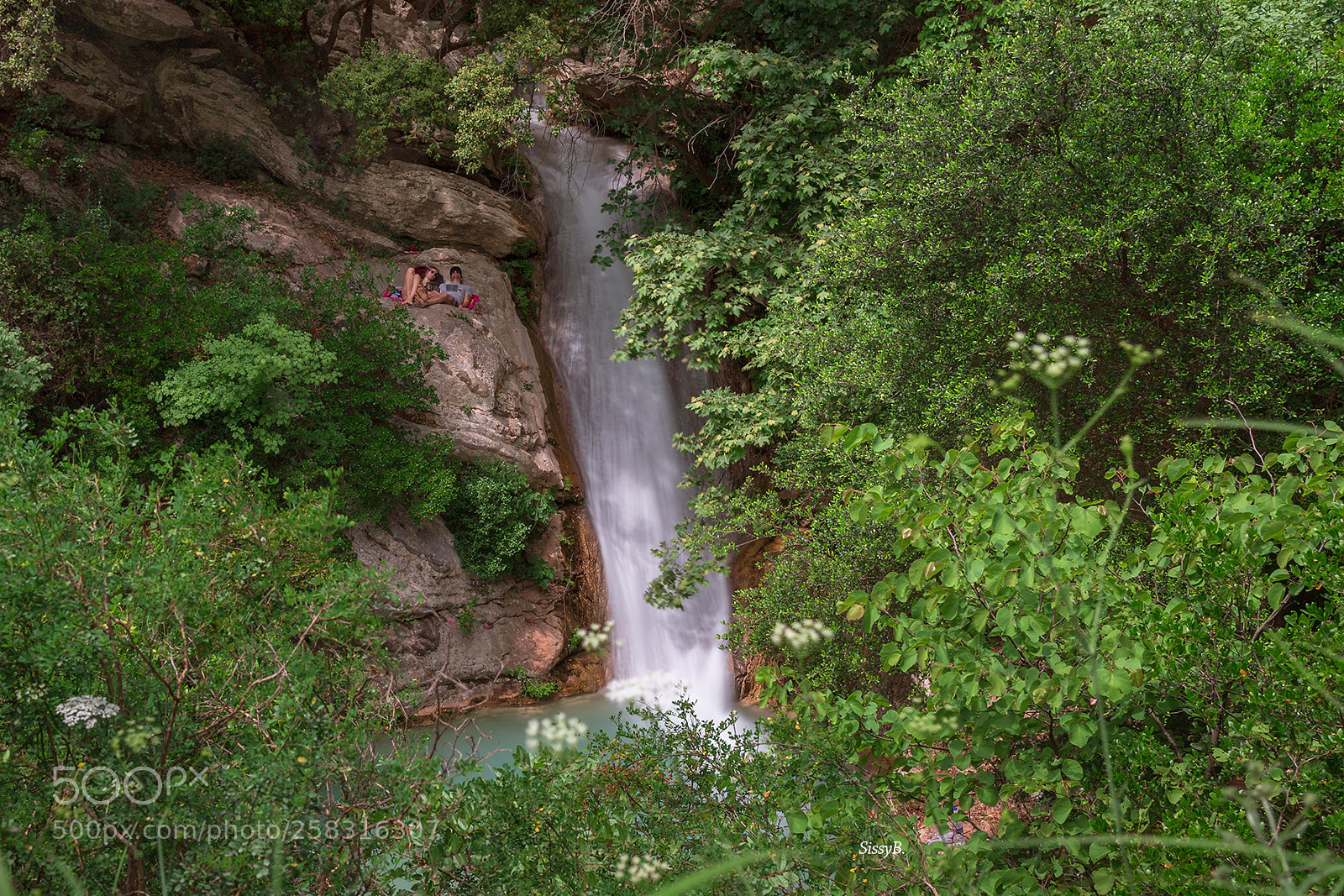 Canon EOS 6D sample photo. Nature photography