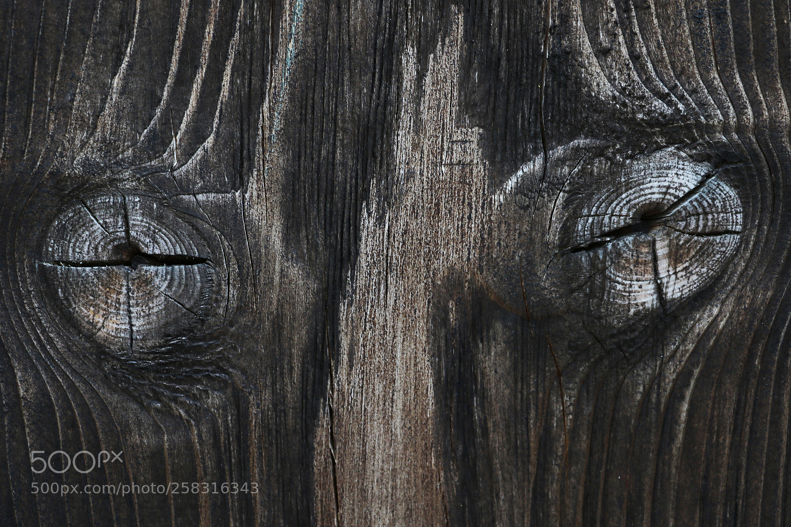 Canon EOS 750D (EOS Rebel T6i / EOS Kiss X8i) sample photo. Dark wood texture, background photography