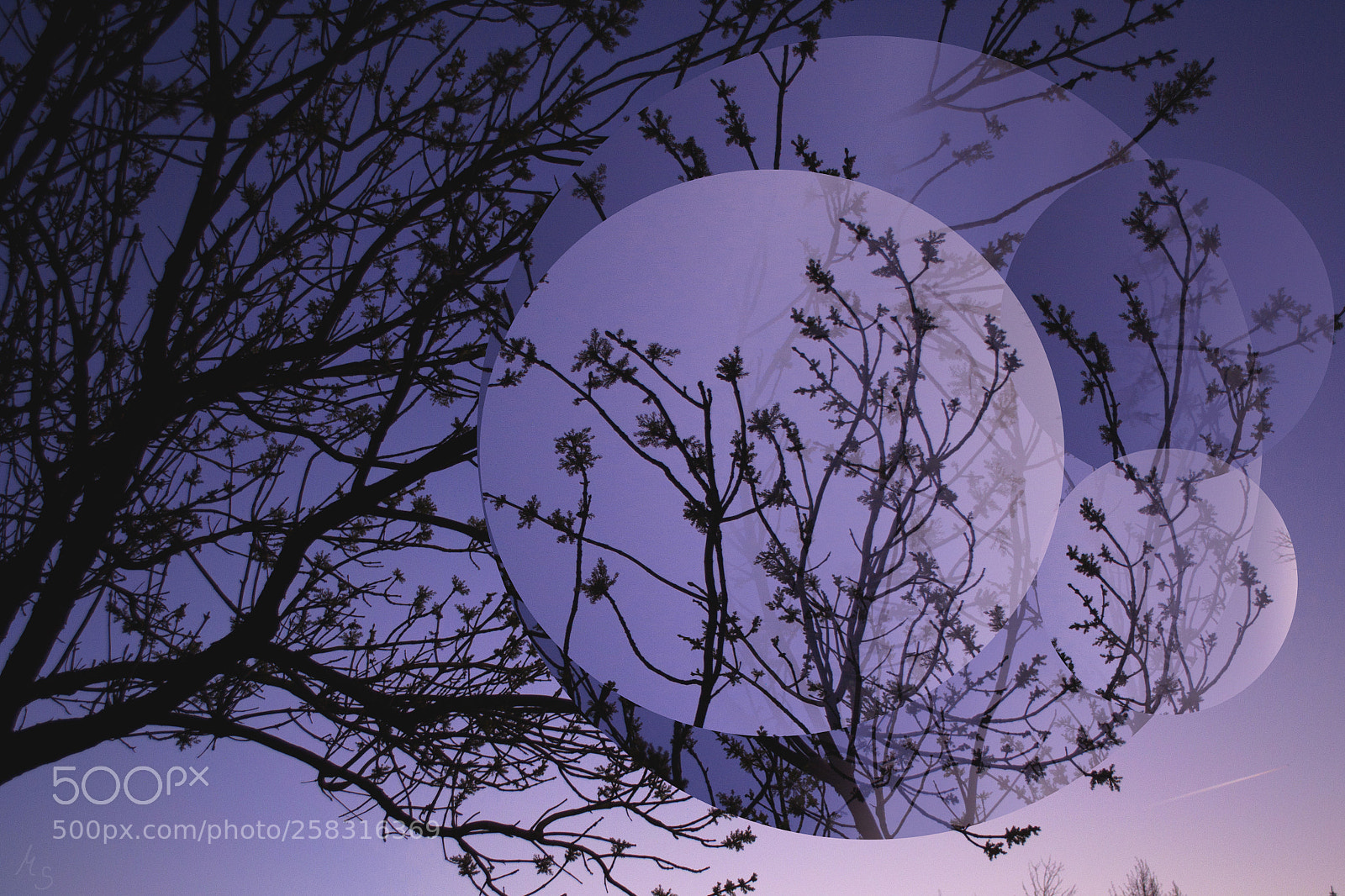 Nikon D3100 sample photo. Digital manipulation photography