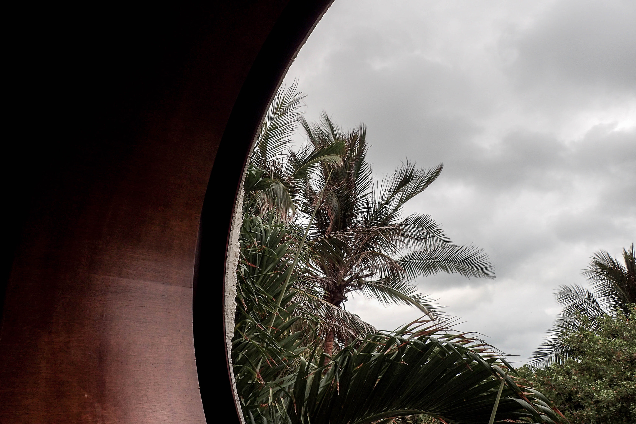 Olympus TG-3 sample photo. Palm tree, carefree photography