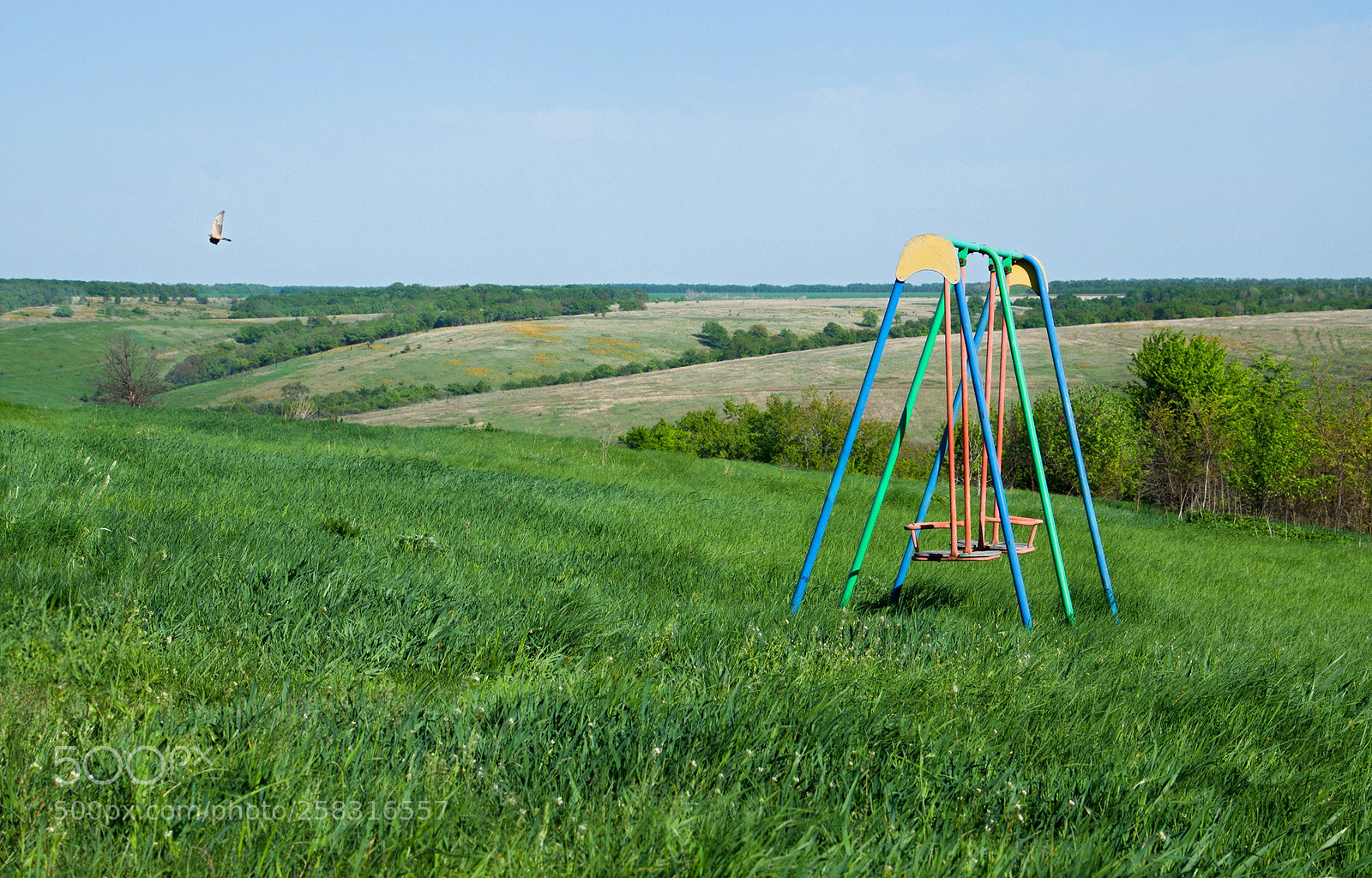 Nikon D7000 sample photo. The swing in the photography