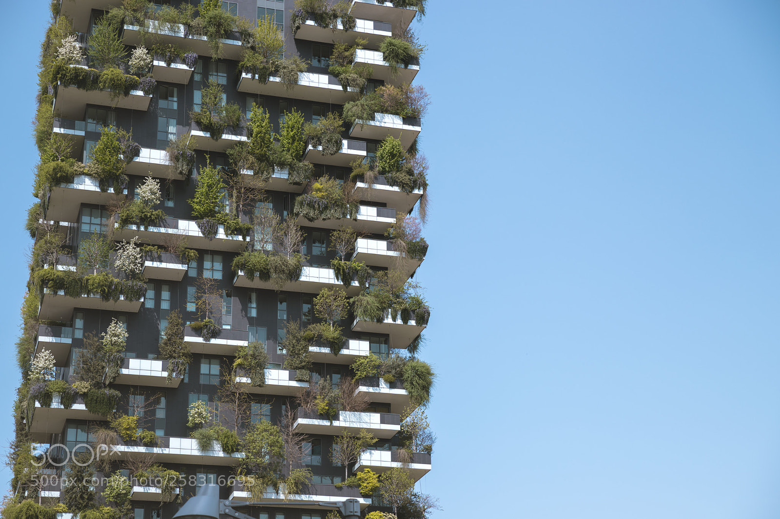 Canon EOS 6D Mark II sample photo. Bosco verticale photography