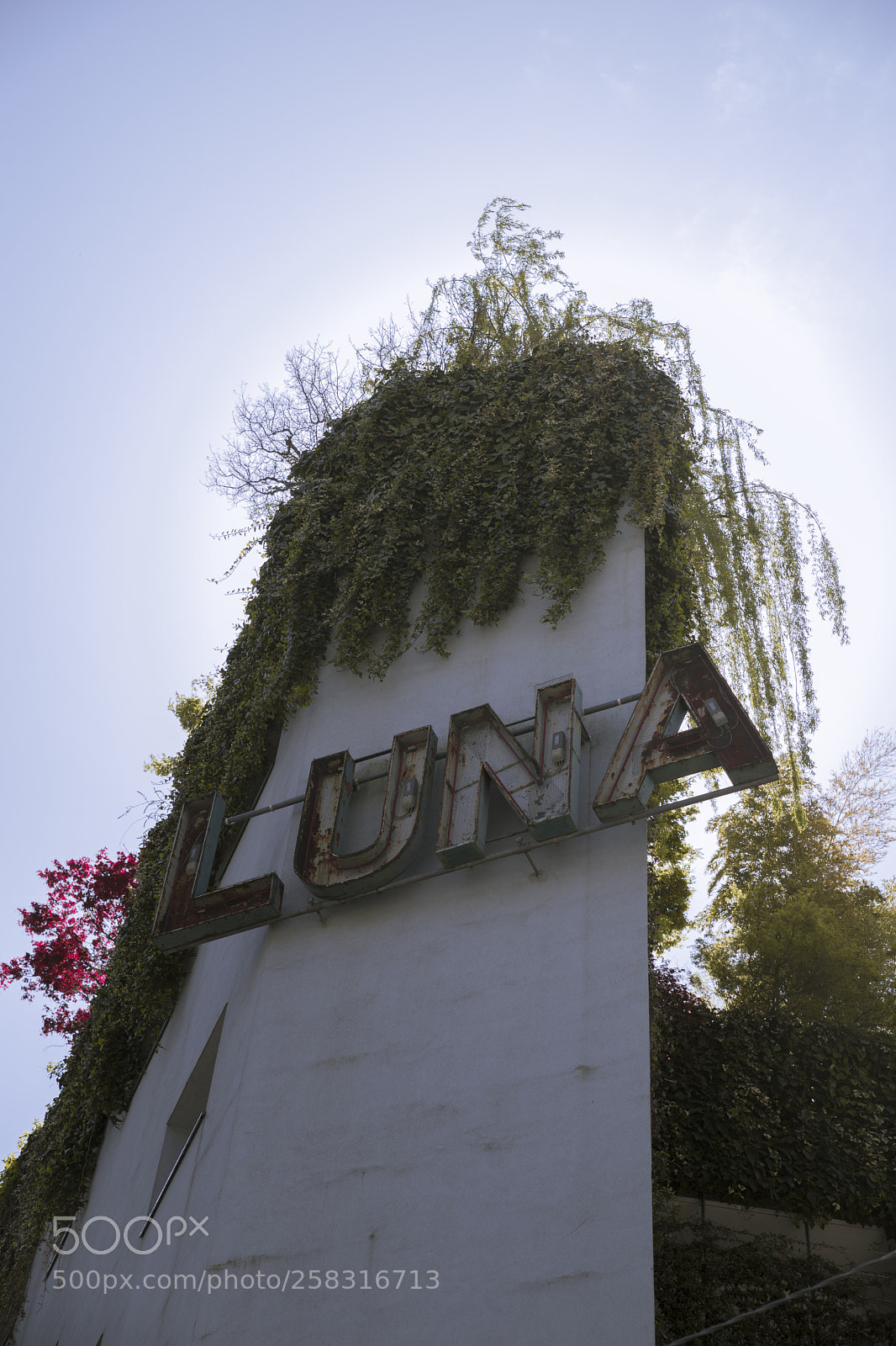 Canon EOS 6D Mark II sample photo. Luna @lambratedesigndistrict photography