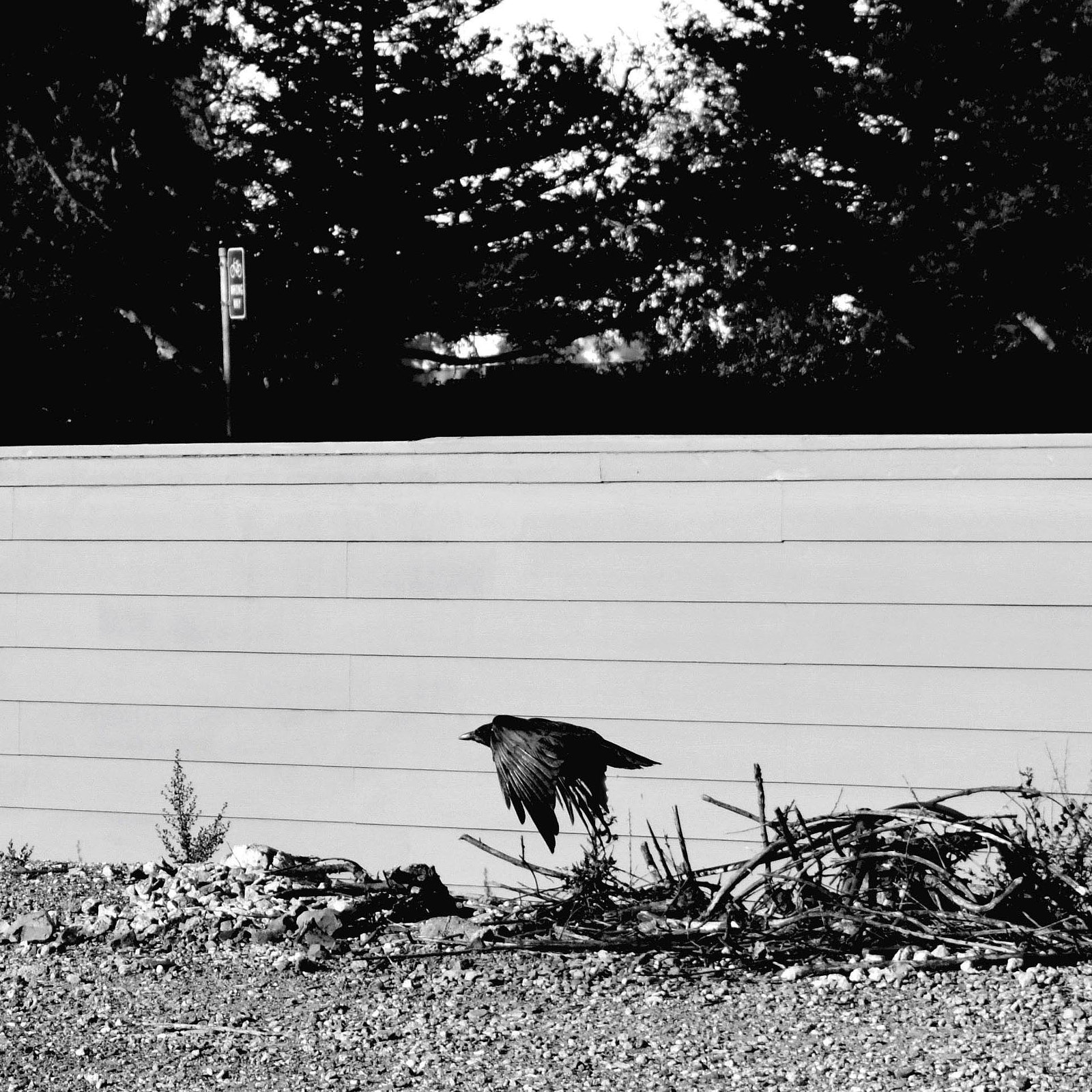 Nikon D5300 sample photo. Dsc photography