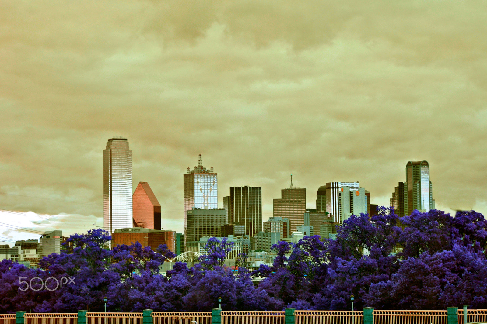 Nikon D3100 sample photo. Enchanted city photography