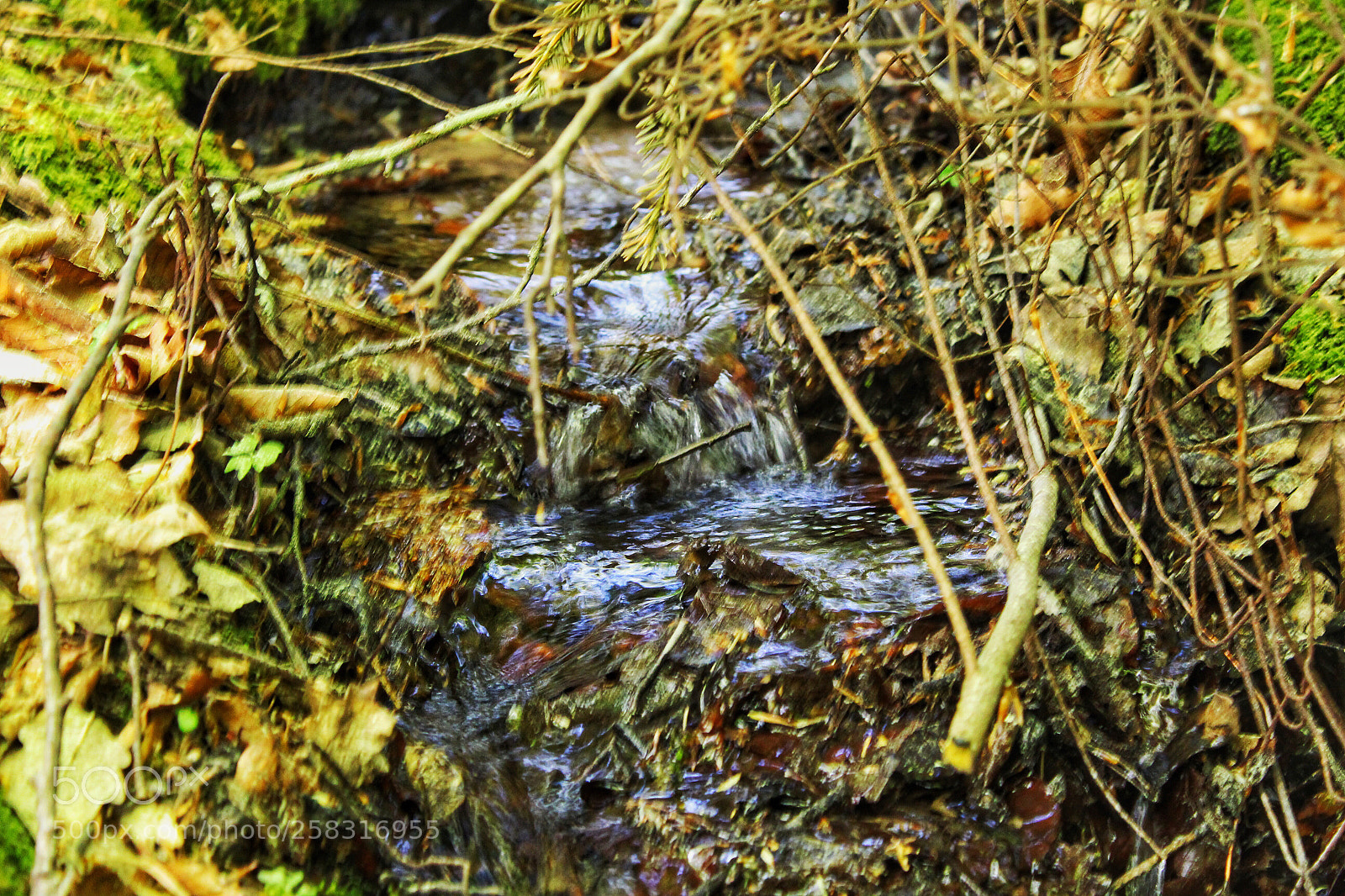 Canon EOS 1300D (EOS Rebel T6 / EOS Kiss X80) sample photo. A little river  photography