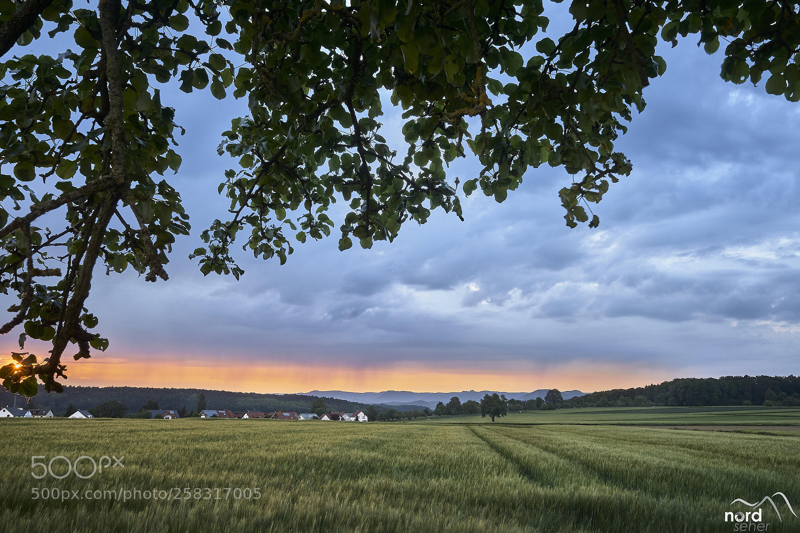 Sony ILCA-77M2 sample photo. Da gewittert es aber photography