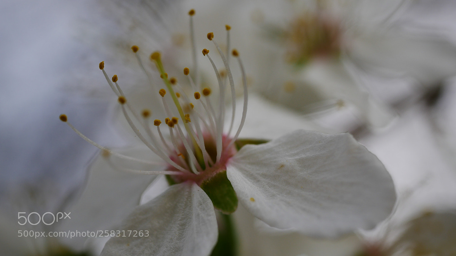 Panasonic DMC-G70 sample photo. Untitled photography