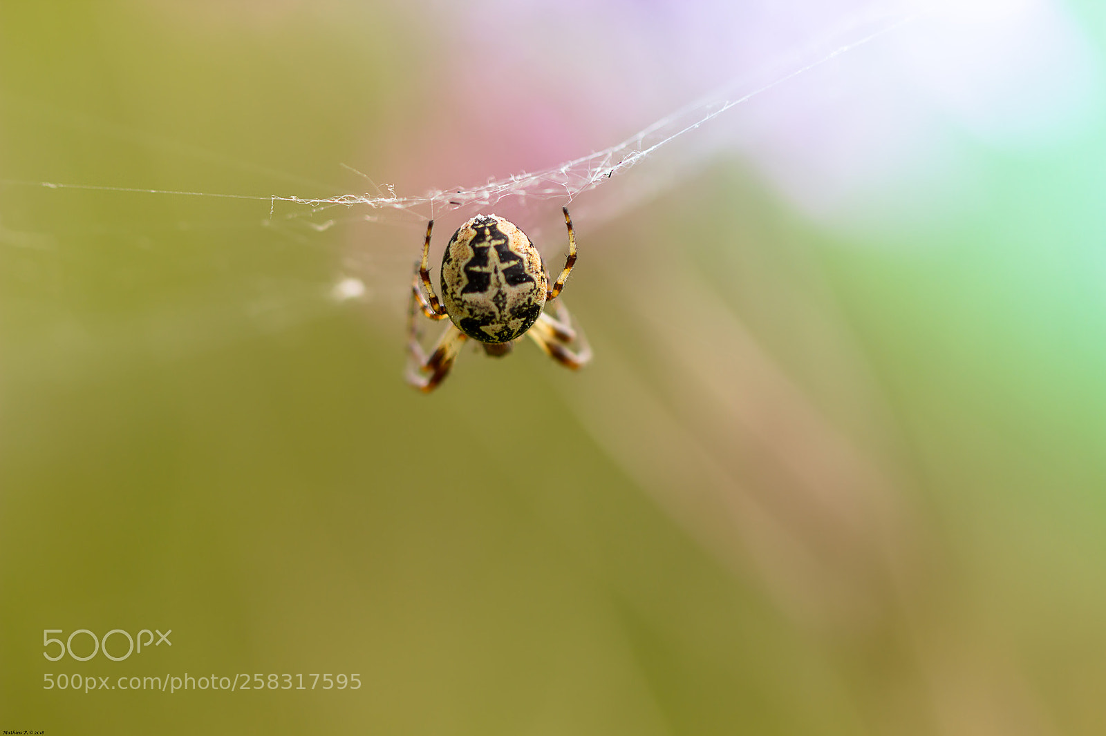 Canon EOS 600D (Rebel EOS T3i / EOS Kiss X5) sample photo. Un cul tomber par photography