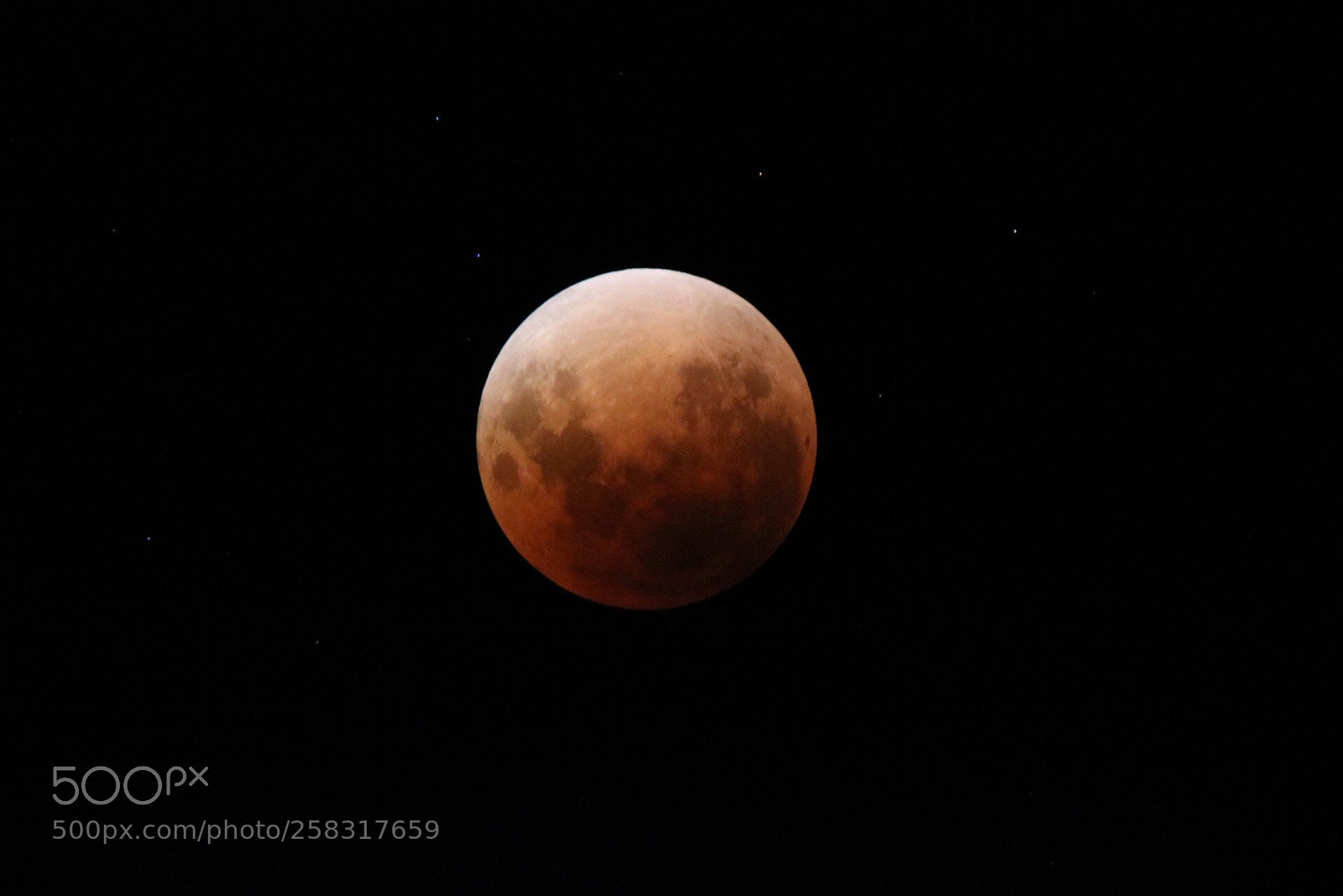 Canon EOS 750D (EOS Rebel T6i / EOS Kiss X8i) sample photo. Blood moon photography