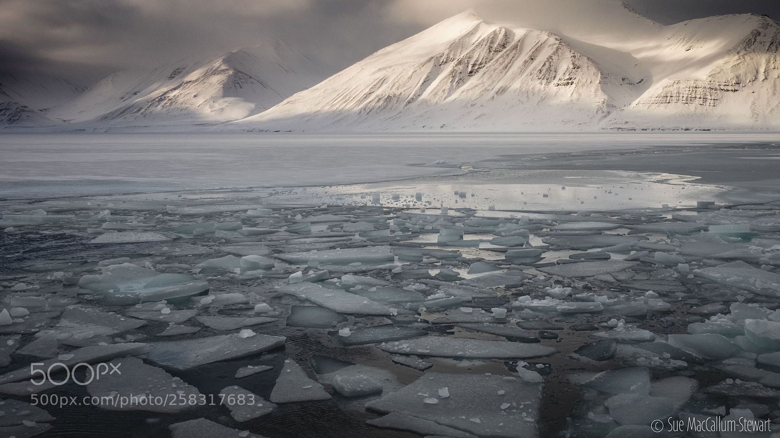 Olympus OM-D E-M1 sample photo. Svalbard in winter photography