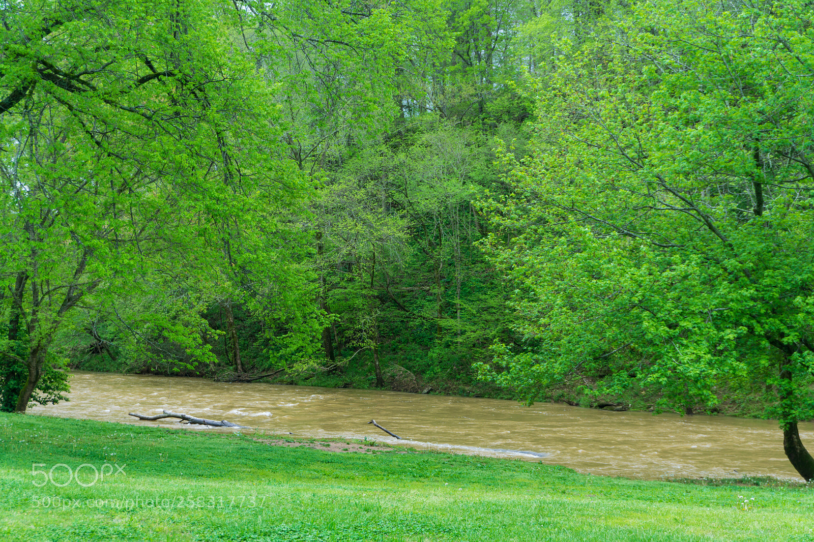Sony a6000 sample photo. Wild river photography