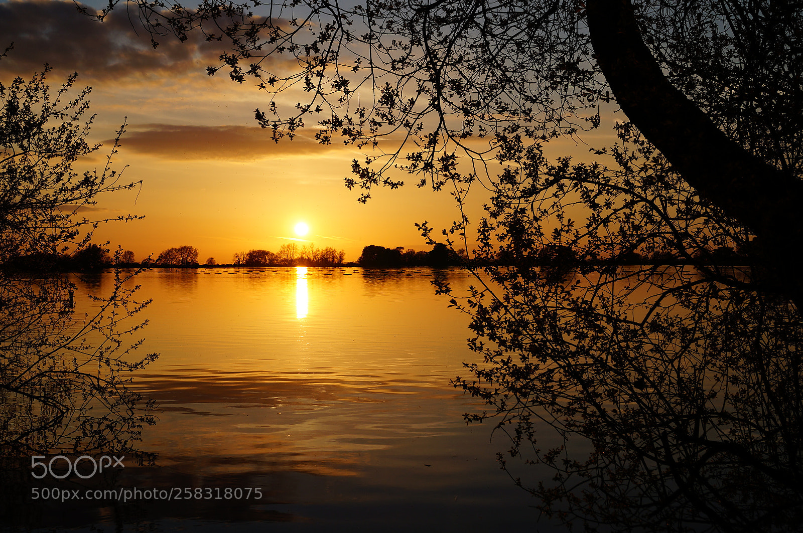 Sony SLT-A37 sample photo. Beautiful sunset over willesden photography