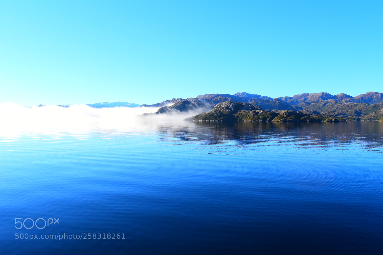 Nikon D5600 sample photo. Sea of blue photography