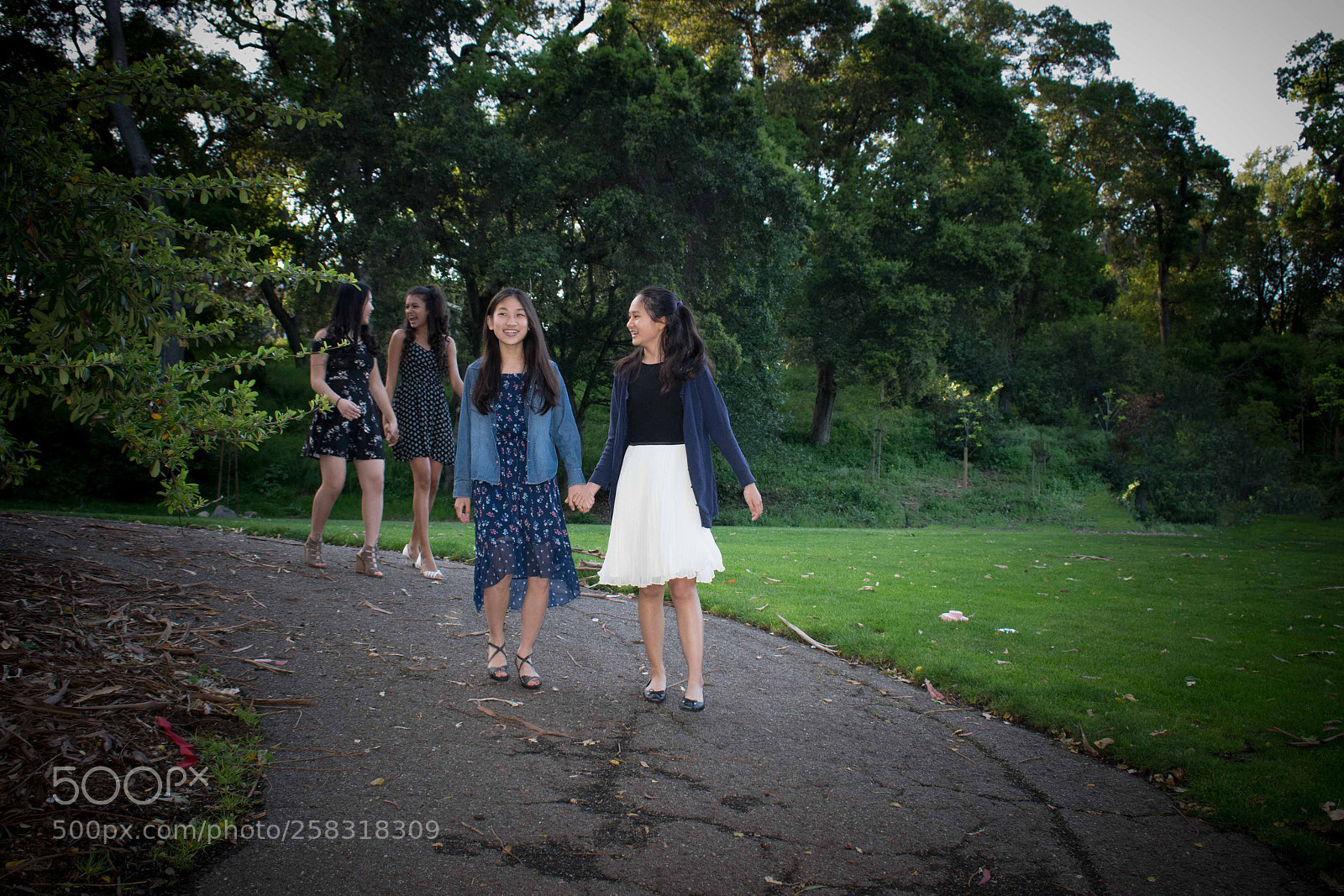 Nikon D5300 sample photo. Img photography