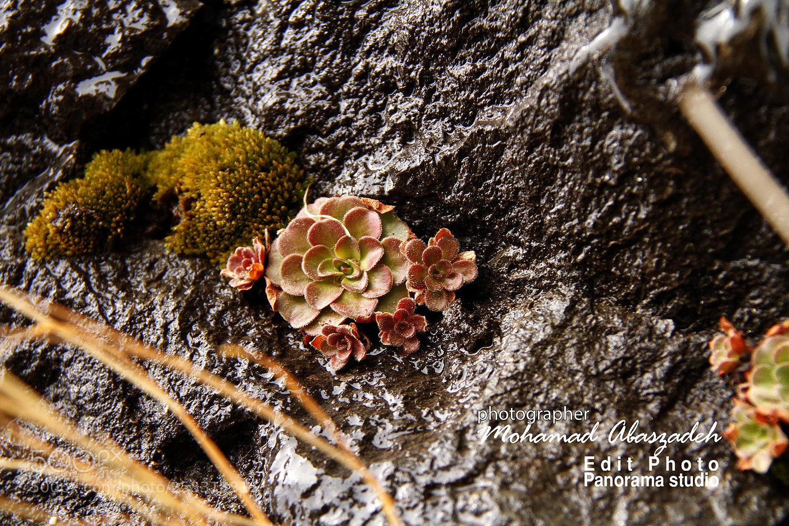 Canon EOS 7D sample photo. Untitled photography