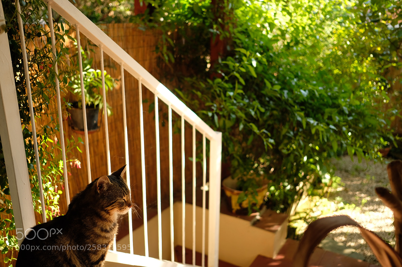 Fujifilm X-T20 sample photo. Tranquility? sleep. photography