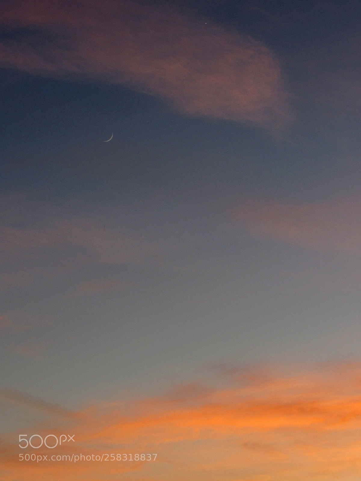 Canon PowerShot SX530 HS sample photo. Pastel sky photography