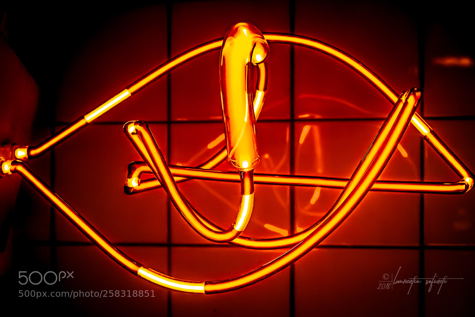 Nikon D750 sample photo. Orange form photography