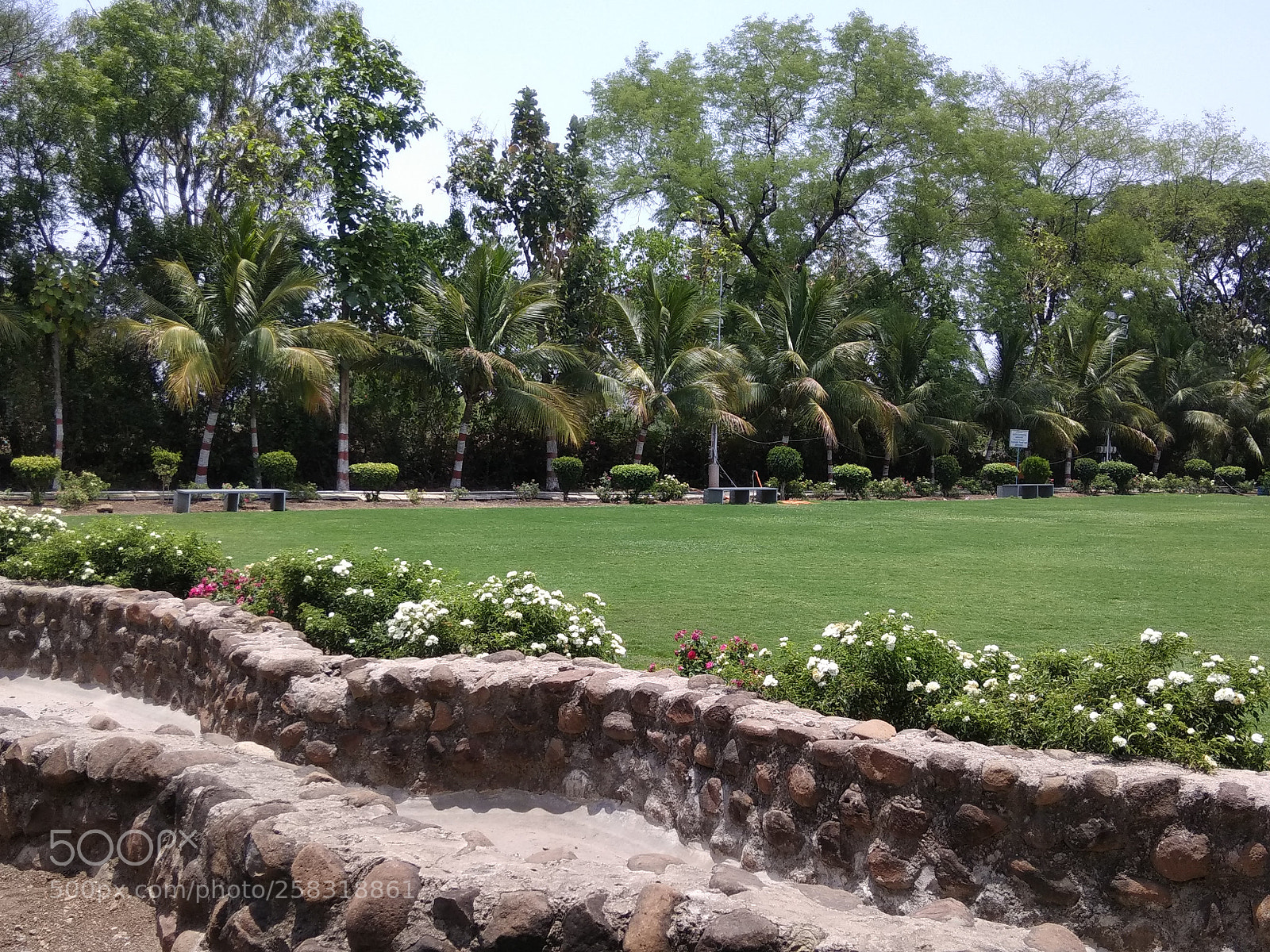 Xiaomi Redmi Note 4 sample photo. Untitled photography
