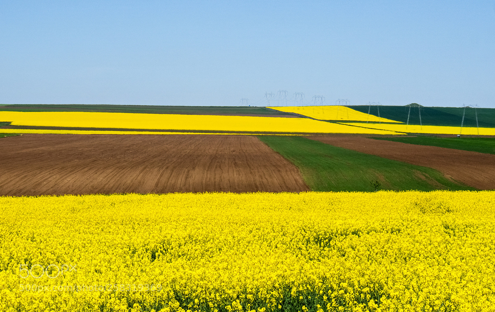 Olympus OM-D E-M10 II sample photo. Spring in the  dobrogea photography