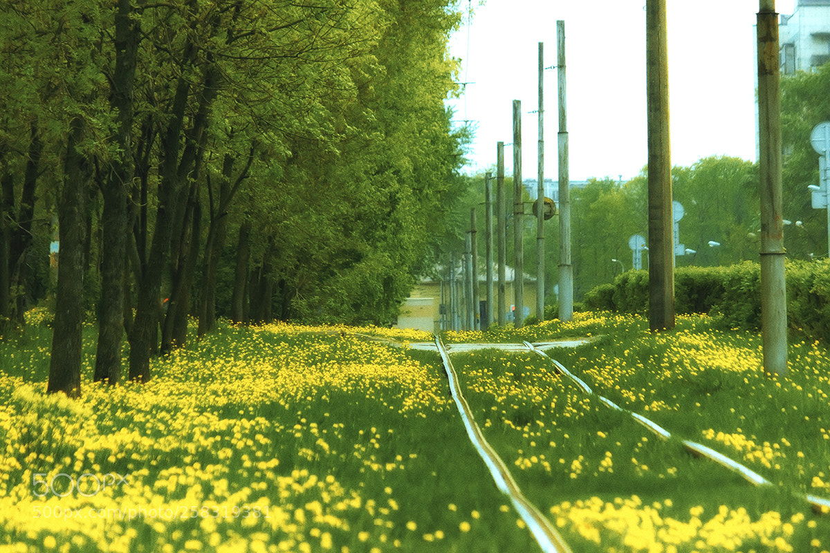 Canon EOS 600D (Rebel EOS T3i / EOS Kiss X5) sample photo. Next station are   hometown photography