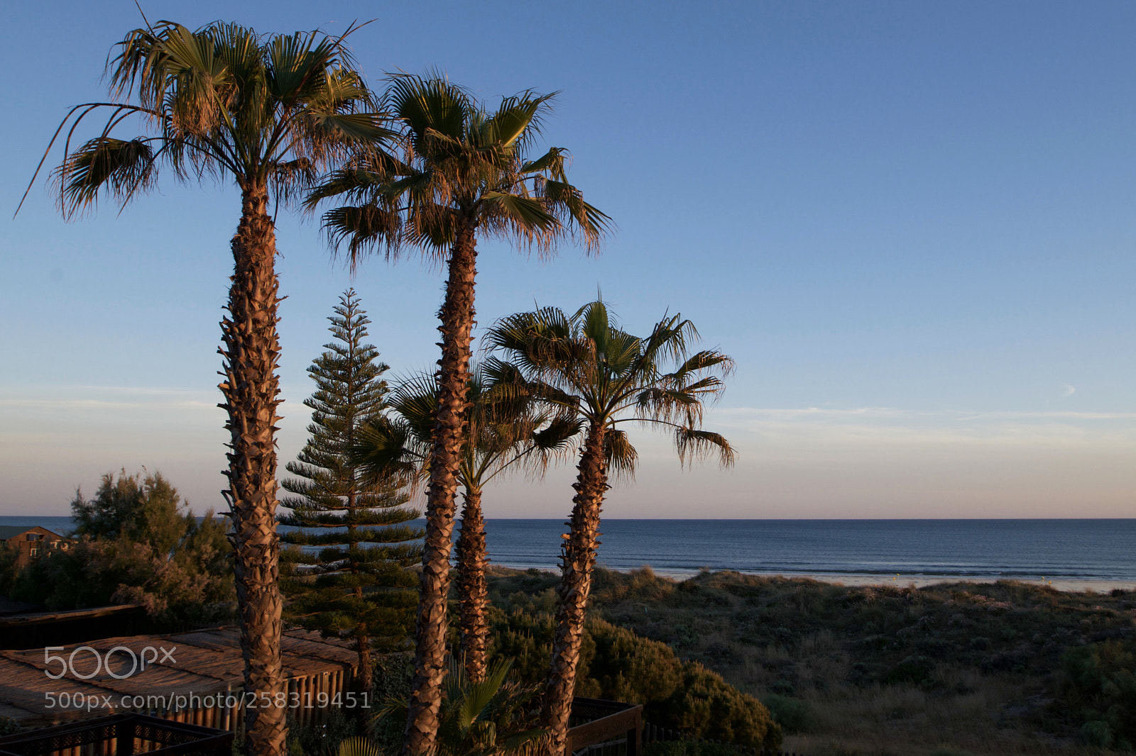 Nikon D3300 sample photo. Ocean breeze photography