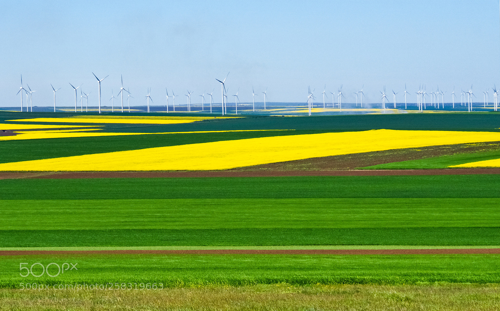 Olympus OM-D E-M10 II sample photo. Spring in the  dobrogea 1 photography