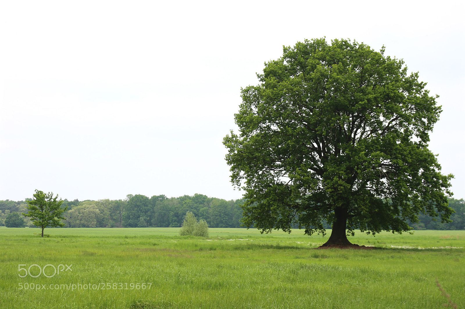 Canon EOS 6D sample photo. Karower teiche photography