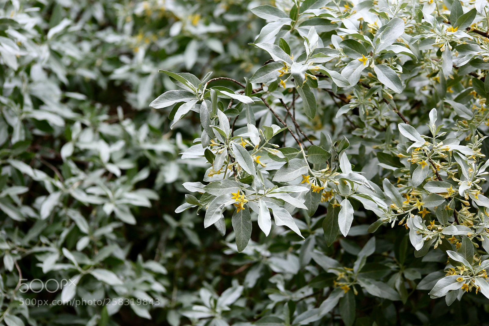 Canon EOS 6D sample photo. Karower teiche photography