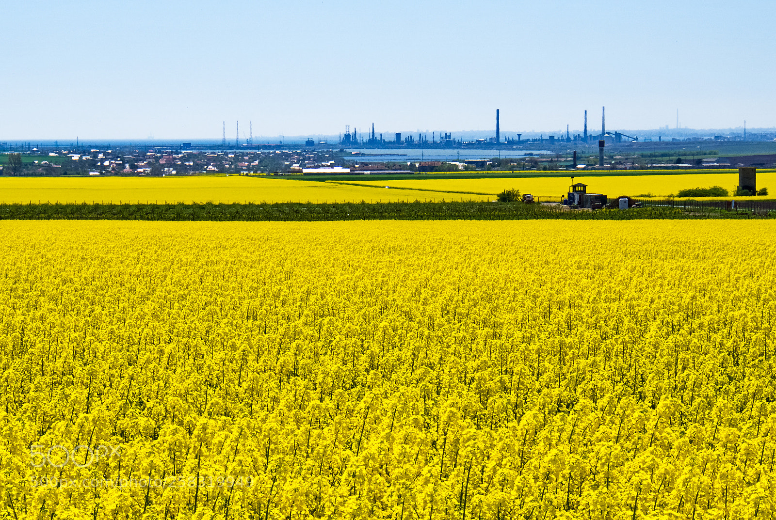 Olympus OM-D E-M10 II sample photo. Spring in the  dobrogea  2 photography
