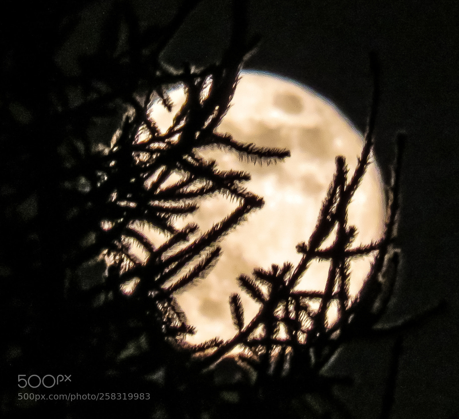Canon PowerShot SX540 HS sample photo. Moon photography