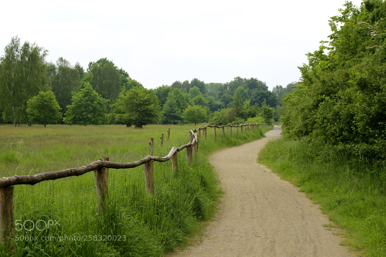 Canon EOS 6D sample photo. Karower teiche photography