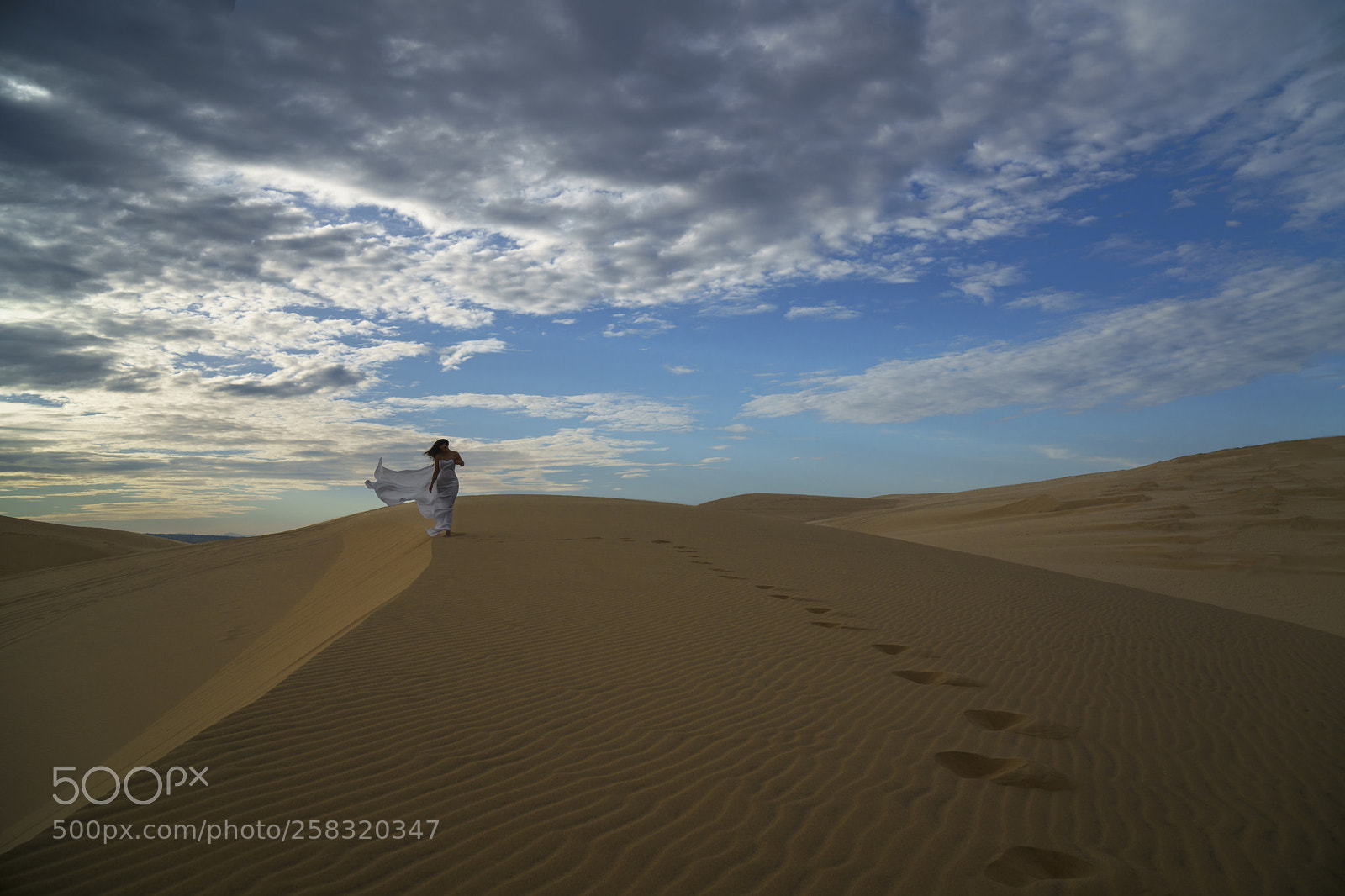Sony a6300 sample photo. Desert rose photography