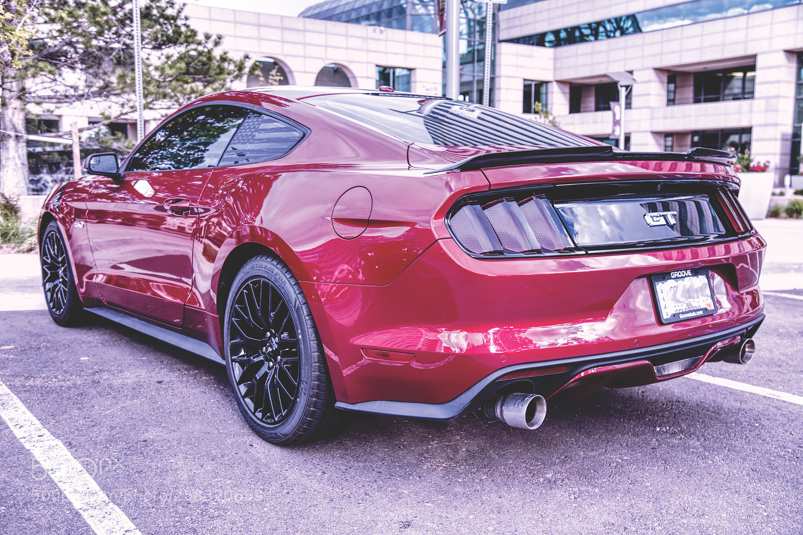 Canon EOS 6D sample photo. Plum red shiny mustang photography